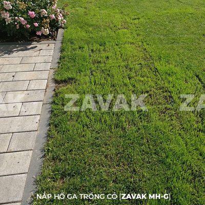 Nắp hố ga trồng cỏ inox ZAVAK MH-G Làm nắp đậy các loại hố kỹ thuật, hố ga ngoài vườn…tại các công trình cao cấp đòi hỏi tính thẩm mỹ và tiện dụng cao như biệt thự, các resort, khách sạn, công viên…