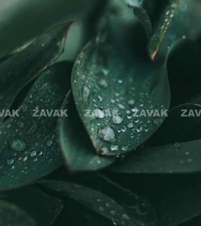 cole keister 8V1gfeaPP1Y unsplash 067a87a1