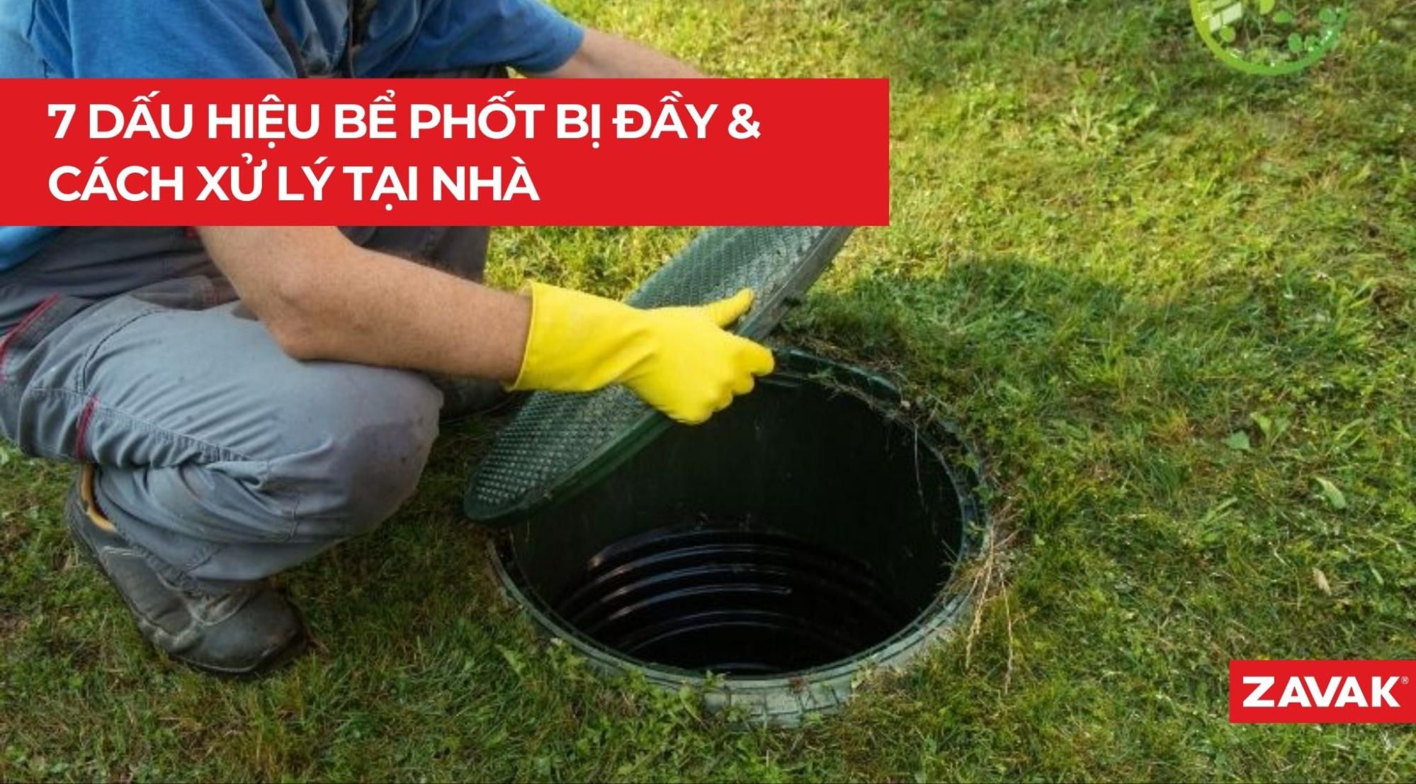 7 Dấu Hiệu Bể Phốt Bị Đầy & Cách Xử Lý Tại Nhà