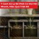 be phot co mui hoi 827eaaff
