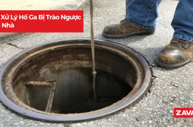 tu xu ly ho ga bi trao nguoc tai nha 90df2275