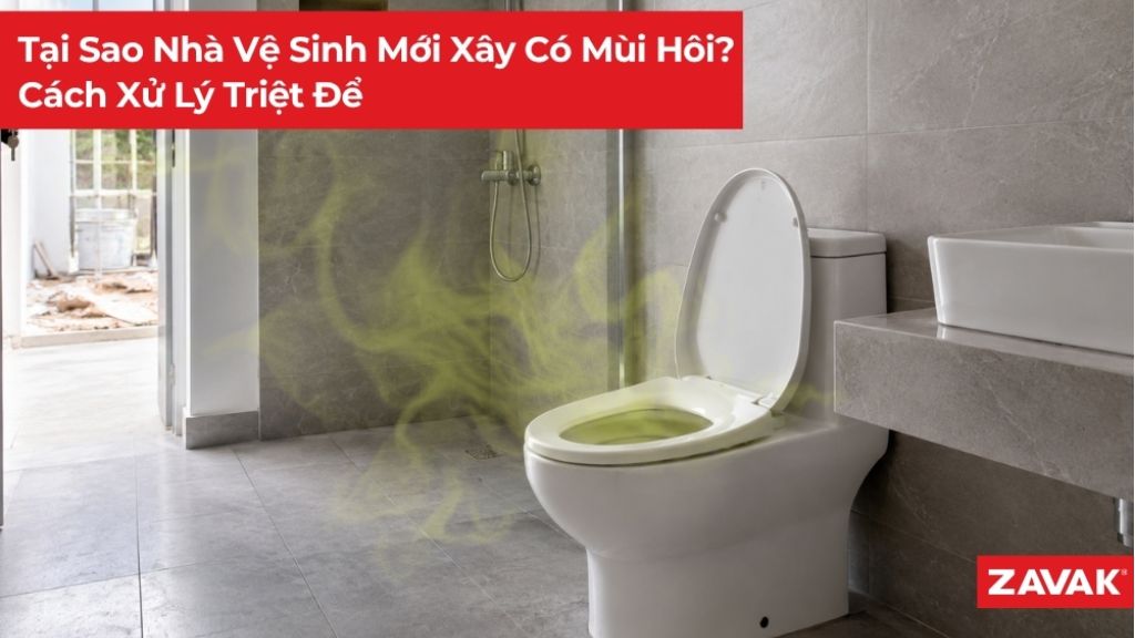 tai sao nha ve sinh moi xay co mui hoi d6602364