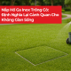 25.8.6 Nap ho ga inox trong co Dinh nghia lai canh quan cho khong gian song 2 d7d89304
