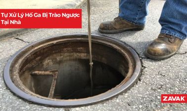 tu xu ly ho ga bi trao nguoc tai nha ea658396