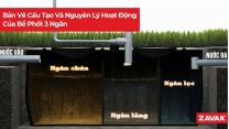cau tao be phot 3 ngan eda854aa