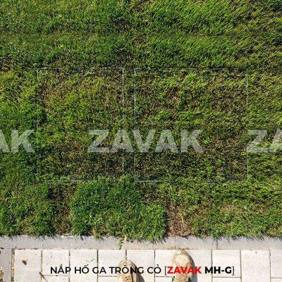 Nắp hố ga bằng inox ZAVAK MH-G trồng cỏ lên trên bề mặt sử dụng làm nắp đậy hố ga thoát nước sân vườn thẩm mỹ tiện lợi