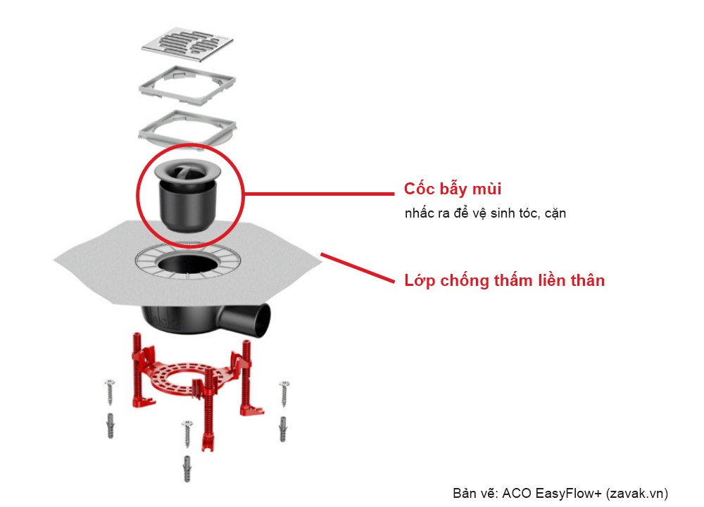 3 Lý do khiến thoát sàn bốc mùi khó chịu? Cách đánh bay mùi triệt để 3 Lý do khiến thoát sàn bốc mùi khó chịu? Cách đánh bay mùi triệt để